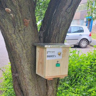 Bees and biodiversity at Morgan